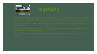 vegetação
A composição vegetativa do Estado do Rio Grande do Sul é constituída basicamente por quatro
tipos distintos de vegetação: Mata de Araucárias, Pampas, Vegetação Litorânea e Mata Atlântica.
• Mata de Araucárias: é caracterizada por uma floresta subtropical formada por coníferas e
pinheiro-do-paraná.
• Vegetação Litorânea: ao longo de todo litoral rio- grandense se encontra vegetação úmida com
uma abundante quantidade de areia.
• Mata Atlântica: é um tipo vegetação que cobre desde o norte até o sul do país na costa
litorânea.
 