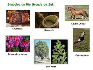 Símbolos do Rio Grande do Sul:
Brinco de princesa
Churrasco
Chimarrão
Cavalo Crioulo
Erva mate
Quero-quero