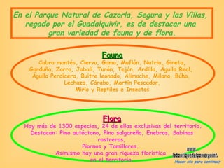 En el Parque Natural de Cazorla, Segura y las Villas,  regado por el Guadalquivir, es de destacar una  gran variedad de fauna y de flora. Fauna Cabra montés, Ciervo, Gamo, Muflón. Nutria, Gineta, Garduña, Zorro, Jabalí, Turón, Tejón, Ardilla, Águila Real,  Águila Perdicera, Buitre leonado, Alimoche, Milano, Búho,  Lechuza, Cárabo, Martín Pescador, Mirlo y Reptiles e Insectos Flora Hay más de 1300 especies, 24 de ellas exclusivas del territorio. Destacan: Pino autóctono, Pino salgareño, Enebros, Sabinas rastreras, Piornos y Tomillares.  Asimismo hay una gran riqueza florística  en el territorio. Hacer clic para continuar   www. laboutiquedelpowerpoint. com 