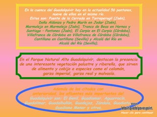 En la cuenca del Guadalquivir hay en la actualidad 56 pantanos, nueve de ellos en el mismo río. Estos son: Puente de la Cerrada en Torreperogil (Jaén),   Doña Aldonza y Pedro Marín en Jodar (Jaén),  Marmolejo en Marmolejo (Jaén), Tranco de Beas en Hornos y  Santiago – Pontones (Jaén), El Carpio en El Carpio (Córdoba), Villafranca de Córdoba en Villafranca de Córdoba (Córdoba), Cantillana en Cantillana (Sevilla) y Alcalá del Río en  Alcalá del Río (Sevilla). En el Parque Natural Alto Guadalquivir, destacan la presencia  de una interesante vegetación palustre y ribereña, que sirven  de alimento y cobijo a especies como el calamón,  garza imperial, garza real y malvasía. Además de los citados con  anterioridad, los afluentes más importantes del   Guadalquivir son: El Genil, Guadiamar, Aguarrocín,  Guadalimar, Guadalbullón, Guadajoz, Jándula, Guadiato,  Guadiana Menor y otros. Hacer clic para continuar www. laboutiquedelpowerpoint. com 