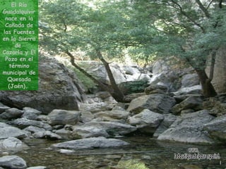 El Río Guadalquivir nace en la Cañada de las Fuentes en la Sierra de  Cazorla y El Pozo en el término municipal de Quesada...