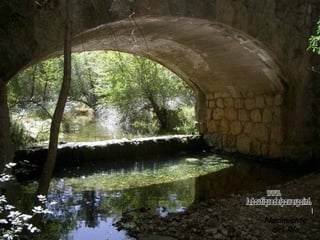 Nacimiento  del Río. www. laboutiquedelpowerpoint. com 