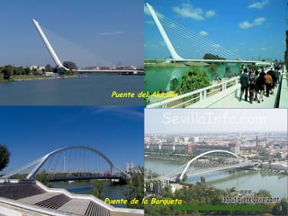 Puente de la Barqueta  Puente del Alamillo www. laboutiquedelpowerpoint. com 
