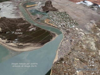 Imagen tomada por satélite  obtenida de Google Earth. Coto  Doñana   www. laboutiquedelpowerpoint. com 