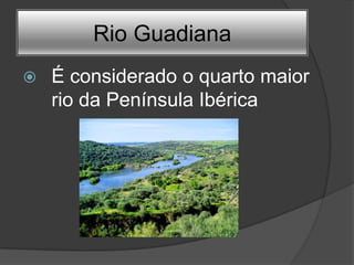 Rio Guadiana
   É considerado o quarto maior
    rio da Península Ibérica
 