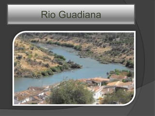 Rio Guadiana
 