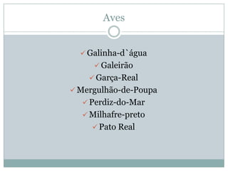 Rio Guadiana   JoãO Alex