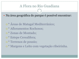 Rio Guadiana   JoãO Alex