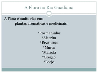 Rio Guadiana   JoãO Alex