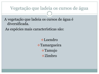 Rio Guadiana   JoãO Alex