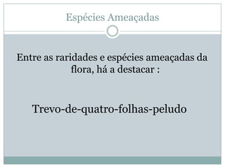 Rio Guadiana   JoãO Alex