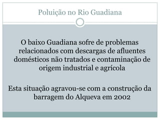 Rio Guadiana   JoãO Alex