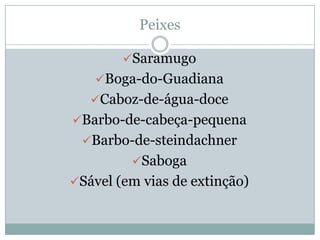 Rio Guadiana   JoãO Alex