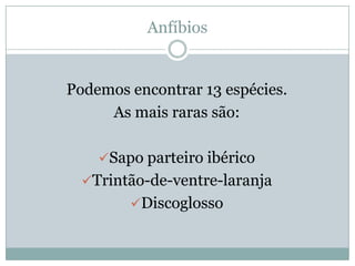 Rio Guadiana   JoãO Alex