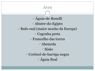 Rio Guadiana   JoãO Alex