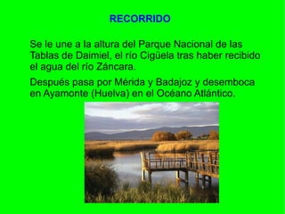 RECORRIDO

Se le une a la altura del Parque Nacional de las
Tablas de Daimiel, el río Cigüela tras haber recibido
el agua del río Záncara.
Después pasa por Mérida y Badajoz y desemboca
en Ayamonte (Huelva) en el Océano Atlántico.
 