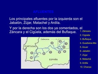 AFLUENTES

Los principales afluentes por la izquierda son el
Jabalón, Zújar, Matachel y Ardila.
Y por la derecha son los dos ya comentados, el
Záncara y el Cigüela, además del Buflaque. 1. Záncara
                                               2. Cigüela
                                               3. Buflaque
                                               4. Guadiana Alto
                                               5. Azuer
                                               6. Jabalón
                                               7. Zújar
                                               8. Mataché
                                               9. Ardila
                                               10. Chanza
 