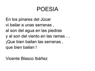 POESIA
En los pinares del Júcar
vi bailar a unas serranas ,
al son del agua en las piedras
y al son del viento en las ramas …
¡Que bien bailan las serranas ,
que bien bailan !
Vicente Blasco Ibáñez
 