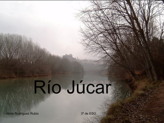 Río Júcar
Alicia Rodríguez Rubio   3º de ESO
 