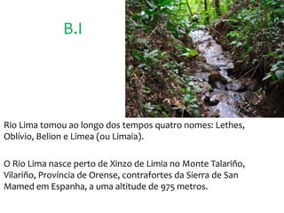 B.I
Rio Lima tomou ao longo dos tempos quatro nomes: Lethes,
Oblívio, Belion e Limea (ou Limaia).
O Rio Lima nasce perto de Xinzo de Limia no Monte Talariño,
Vilariño, Província de Orense, contrafortes da Sierra de San
Mamed em Espanha, a uma altitude de 975 metros.
 