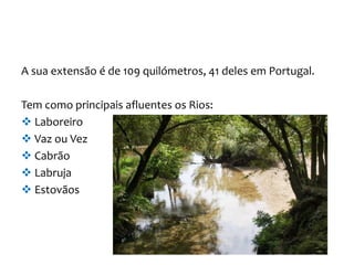 A sua extensão é de 109 quilómetros, 41 deles em Portugal.
Tem como principais afluentes os Rios:
 Laboreiro
 Vaz ou Vez
 Cabrão
 Labruja
 Estovãos
 