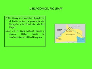 UBICACIÓN DEL RIO LIMAY


El Rio Limay se encuentra ubicado en
    el limite entre La provincia del
    Neuquén y La Provincia de Rio
    Negro.
Nace en el Lago Nahuel Huapi y
    recorre    400km       hasta   la
    confluencia con el Rio Neuquén
 