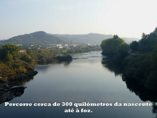 Percorre cerca de 300 quilómetros da nascentePercorre cerca de 300 quilómetros da nascente
até à foz.até à foz.
 