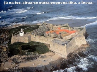 Já na foz ,situa-se outra pequena ilha, a Ínsua.Já na foz ,situa-se outra pequena ilha, a Ínsua.
 