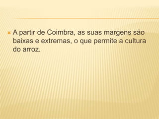 A partir de Coimbra, as suas margens são baixas e extremas, o que permite a cultura do arroz.