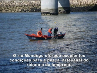 O rio Mondego oferece excelentes
condições para a pesca artesanal do
        robalo e da lampreia.
 