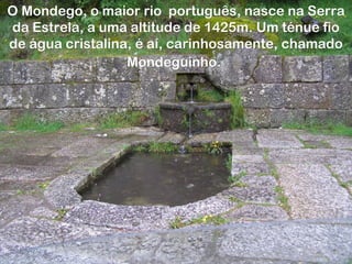 O Mondego, o maior rio português, nasce na Serra
da Estrela, a uma altitude de 1425m. Um ténue fio
de água cristalina, é aí, carinhosamente, chamado
                  Mondeguinho.
 