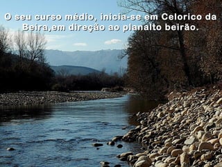 O seu curso médio, inicia-se em Celorico da
   Beira,em direção ao planalto beirão.
 