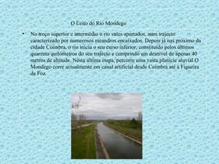 O Leito do Rio Mondego No troço superior e intermédio o rio vales apertados, num trajecto caracterizado por numerosos meandros encaixados. Depois já nas próximo da cidade Coimbra, o rio inicia o seu curso inferior, constituído pelos últimos quarenta quilómetros do seu trajecto e cumprindo um desnível de apenas 40 metros de altitude. Nesta última etapa, percorre uma vasta planície aluvial.O Mondego corre actualmente em canal artificial desde Coimbra até à Figueira da Foz. 