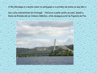 O Rio Mondego é o quinto maior rio português e o primeiro de todos os que têm o seu curso inteiramente em Portugal.   Percorre a parte centro do país, desde a Serra da Estrela até ao Oceano Atlântico, onde desagua junto da Figueira da Foz. 