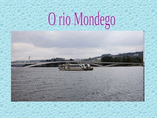O rio Mondego 