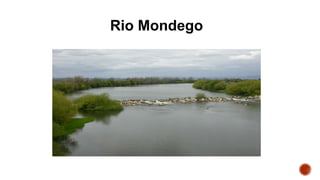 Rio Mondego
 