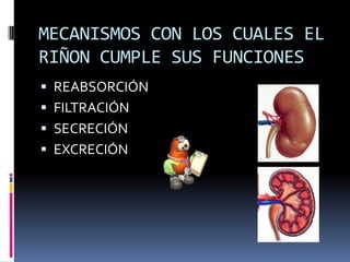 MECANISMOS CON LOS CUALES EL
RIÑON CUMPLE SUS FUNCIONES
 REABSORCIÓN
 FILTRACIÓN
 SECRECIÓN
 EXCRECIÓN
 