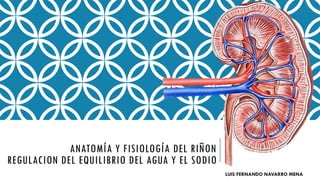 ANATOMIA Y FISIOLOGIA DEL RIÑON REGULACION DE EQUILIBRIO | PPTX