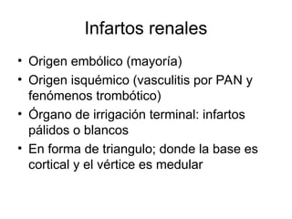 Riñon.ppt diapositivas ppt gratis medicina | PPT