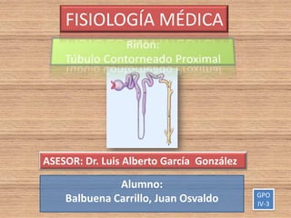FISIOLOGÍA MÉDICA




ASESOR: Dr. Luis Alberto García González

              Alumno:
                                           GPO
    Balbuena Carrillo, Juan Osvaldo        IV-3
 