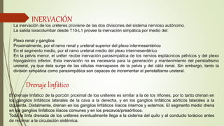 La inervación de los uréteres proviene de las dos divisiones del sistema nervioso autónomo.
La salida toracolumbar desde T10-L1 provee la inervación simpática por medio del:
Plexo renal y ganglios
Proximalmente, por el ramo renal y ureteral superior del plexo intermesentérico
En el segmento medio, por el ramo ureteral medio del plexo intermesentérico
En la pelvis menor, el uréter recibe inervación parasimpática de los nervios esplácnicos pélvicos y del plexo
hipogástrico inferior. Esta inervación no es necesaria para la generación y mantenimiento del peristaltismo
ureteral, ya que ésta surge de las células marcapasos de la pelvis y del cáliz renal. Sin embargo, tanto la
división simpática como parasimpática son capaces de incrementar el peristaltismo ureteral.
INERVACIÓN
El drenaje linfático de la porción proximal de los uréteres es similar a la de los riñones, por lo tanto drenan en
los ganglios linfáticos laterales de la cava a la derecha, y en los ganglios linfáticos aórticos laterales a la
izquierda. Distalmente, drenan en los ganglios linfáticos ilíacos internos y externos. El segmento medio drena
en los ganglios linfáticos ilíacos comunes y en los precavos/preaórticos.
Toda la linfa drenada de los uréteres eventualmente llega a la cisterna del quilo y al conducto torácico antes
de retornar a la circulación sistémica.
Drenaje linfático
 