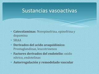 Sustancias vasoactivas

Catecolaminas: Norepinefrina, epinefrina y
dopamina
SRAA
Derivados del acido araquidónico:
Prostaglandinas, leucotrinenos
Factores derivados del endotelio: oxido
nítrico, endotelinas
Autorregulación y remodelado vascular

 