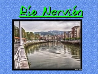 Río Nervión
 