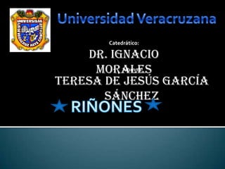 Catedrático:

    Dr. Ignacio
     Morales
          Alumna:

Teresa de Jesús García
       Sánchez
 