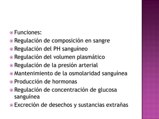  Funciones:
 Regulación de composición en sangre
 Regulación del PH sanguíneo
 Regulación del volumen plasmático
 Regulación de la presión arterial
 Mantenimiento de la osmolaridad sanguínea
 Producción de hormonas
 Regulación de concentración de glucosa
  sanguínea
 Excreción de desechos y sustancias extrañas
 
