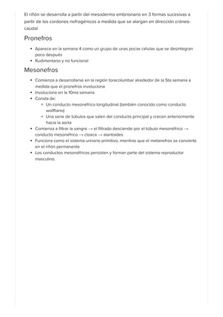 Riñones_ Anatomía | PDF