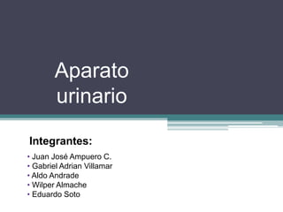Aparato
        urinario
Integrantes:
• Juan José Ampuero C.
• Gabriel Adrian Villamar
• Aldo Andrade
• Wilper Almache
• Eduardo Soto
 