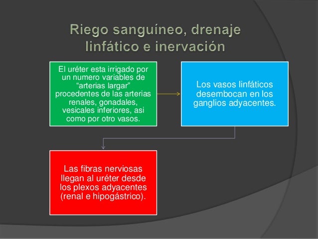 El dolor en los riñones da en el pie