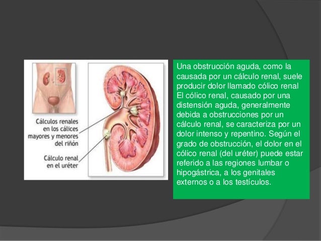 Duele los riñones en 40 semana del embarazo que esto significa
