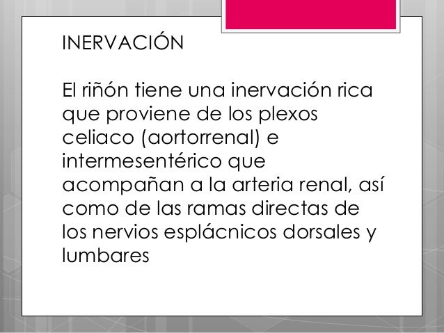 Los ungüentos de la osteocondrosis del precio